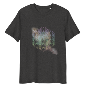 Flower Of Life Galaxy Organic Tee